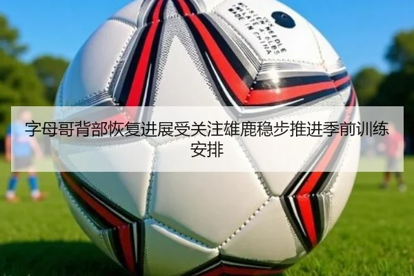 字母哥背部恢复进展受关注雄鹿稳步推进季前训练安排